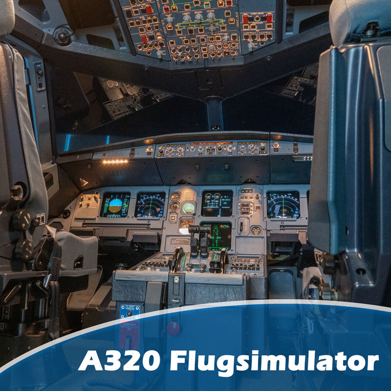 Flugsimulator