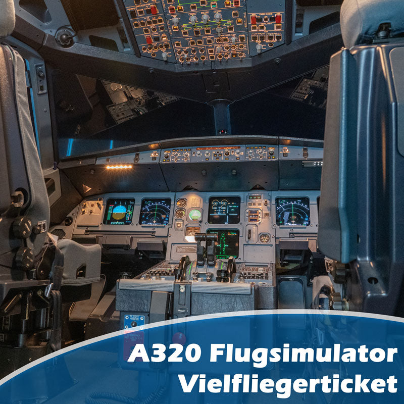 Vielfliegerticket